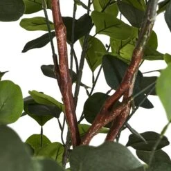 Plante Artificielle Eucalyptus -Noël Décorer Magasin 083d811451a84c46976332c143a27b82
