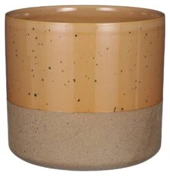 Pot De Fleurs Lago -Noël Décorer Magasin 0e7262419ff24fa4ad5b7ca8f7188f04.cropped 506 768 2033 2104.processed