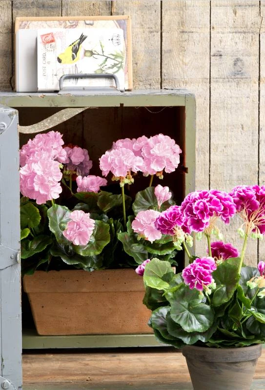 Plante Artificielle Geranien 2 Plante Artificielle Geranien – Image 2