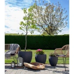 Coupe Rio -Noël Décorer Magasin 1000253671 210319 11463700158 MOOD DETAILS P000000001000253671 mood