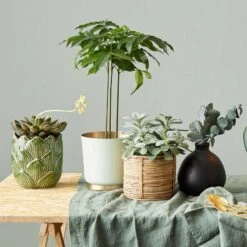 Vase MIO -Noël Décorer Magasin 1000337859 220225 021 MOOD DETAILS P000000001000337859 mood