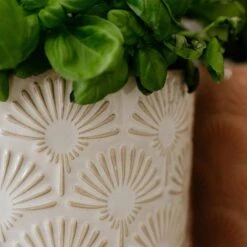 Pot De Fleur BLOOMY II -Noël Décorer Magasin 1000341414 220317 023 MOOD DETAILS P000000001000341414 mood