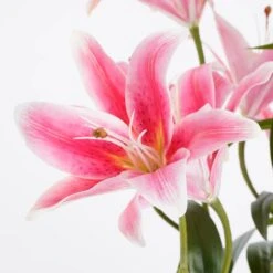 Plante Artificielle Tigerlilien -Noël Décorer Magasin 12077cfbf6ec4fcc8008c855ca43eff1