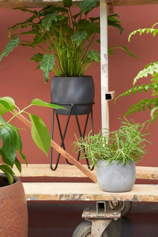 Porte-plante 2 Porte-plante – Image 2