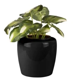 PRESENT TIME Pot De Fleurs Grand -Noël Décorer Magasin 1cd53cbf0f78495ba9ce54711ea0f016.cropped 365 149 1062 1217.processed