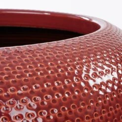 Bol à Plantes Gabriel 31 Bol à Plantes Gabriel -Noël Décorer Magasin 1cf96b9299d34f5f8d7a941e9605915d