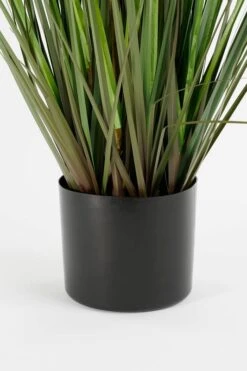 Herbe De La Pampa Plante Artificielle -Noël Décorer Magasin 286e53f88d3145579b7517225464d674