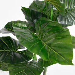Plante Artificielle Taro -Noël Décorer Magasin 2a537e8897044aaabf141e7d1324211b