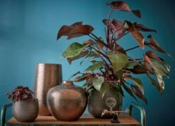 Vase Gabriel -Noël Décorer Magasin 2ce65259648947f3a9a01c19594b7138