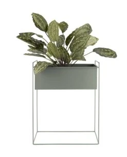 PRESENT TIME Décoration De Jardin Essence -Noël Décorer Magasin 3160b5a7f12a4a4e94f74f1eadebf436.cropped 317 178 1315 1635.processed