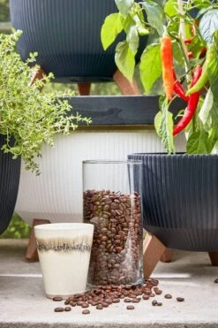 Pot De Fleurs Doppio 14 Pot De Fleurs Doppio -Noël Décorer Magasin 345992ab41c74f7c957d5a8297454d81