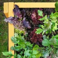 Carré Potager Sur Pied En Bois -Noël Décorer Magasin 35131d701f824ec5a3e95a9993a1b507