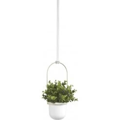 Umbra Lot De 3 Pots Suspendus Triflora -Noël Décorer Magasin 3a05c8a12cf7445b9ffca843d3f08103