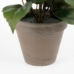 Plante Artificielle Hibiskus 7 Plante Artificielle Hibiskus -Noël Décorer Magasin 4fefc3ab979a4704a12264382a88545f