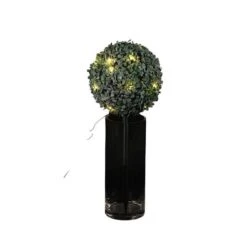 Petite Boule De Buis Effet Givré