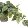 Plante Artificielle Scindapsus