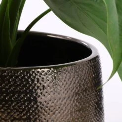 Pot De Fleurs Gabriel -Noël Décorer Magasin 611faf6bba1744858e0fa3da51d0173d