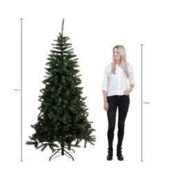 Sapin De Noël Bristlecone -Noël Décorer Magasin 619ead8cc43a40ba8a7784600d3d5ee6 1