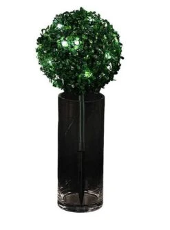 Petite Boule De Buis Intérieur