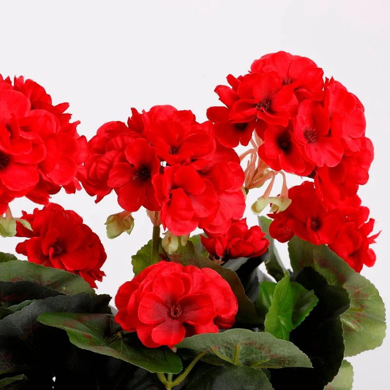 Plante Artificielle Geranien 11 Plante Artificielle Geranien – Image 11