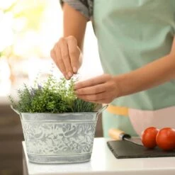 Jardinière En Zinc En Lot De 3 -Noël Décorer Magasin 704de5dd09214dee887b87a5ba0f35a6