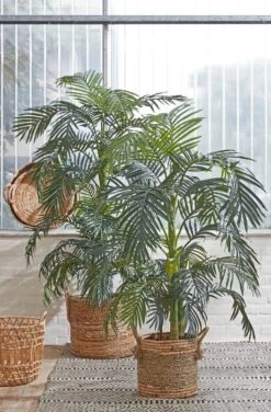 Plante Artificielle Palmier D'Areca -Noël Décorer Magasin 75aa78cf850f4bf7a3589414b1d55859
