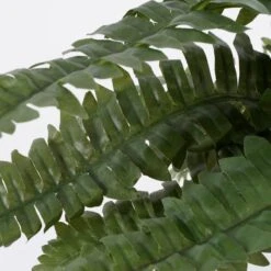 Plante Artificielle Boston Farn -Noël Décorer Magasin 7841af3dc228404d8f2a2471cd7553be