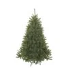 Sapin De Noël Bristlecone