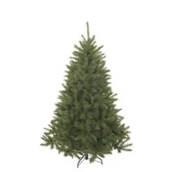 Sapin De Noël Bristlecone