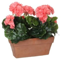 Plante Artificielle Geranien 25 Plante Artificielle Geranien -Noël Décorer Magasin 815b22dae30249258a24daff634f6745.cropped 652 1291 1645 1620.processed
