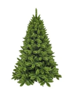 Sapin De Noël Camden