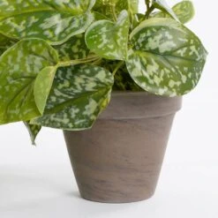 Plante Artificielle Scindapsus -Noël Décorer Magasin 8556ddec8eca4a349836da871adbac60