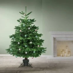 Support Pour Sapin De Noël Vert Foncé -Noël Décorer Magasin 873b30b680a54b958e4ba091c3279bdd