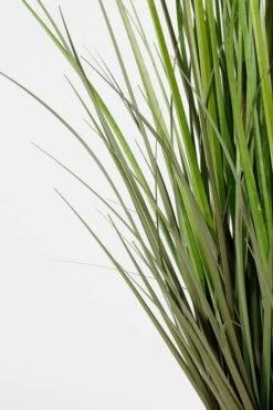Herbe De La Pampa Plante Artificielle -Noël Décorer Magasin a16d74d640e7405eb2cdb46dd61f986f