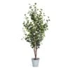 Plante Artificielle Eucalyptus