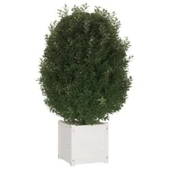 VIDAXL Jardinière -Noël Décorer Magasin aeacdc7e9a8c4f3a8b8522acfc29e3e4