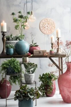 Bol à Plantes Gabriel 27 Bol à Plantes Gabriel -Noël Décorer Magasin af13764d8ca249f7ace7e3951e56f78c