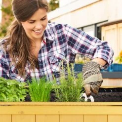 Carré Potager Sur Pied En Bois -Noël Décorer Magasin b3f87875aa3d45d69167f0ddf717511c