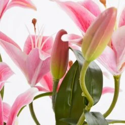 Plante Artificielle Tigerlilien -Noël Décorer Magasin b59821307b7e4e449b968576c07cfe00