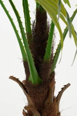 Plante Artificielle Feuille De Palmier -Noël Décorer Magasin b6fe58b4b0914c2b87ea45cc945c20d0