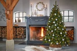 Sapin De Noël Bristlecone -Noël Décorer Magasin bb789a05cae941b7b295a56d8811e5e4