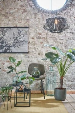 Vase Olly 14 Vase Olly -Noël Décorer Magasin c0182dba0e814db3ad0255ba62a1e9fc