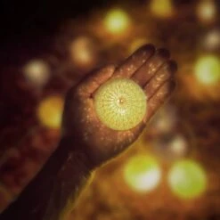 Guirlande Lumineuse LED 10 Boules Coton -Noël Décorer Magasin c701800d49664172bd704e8a35a212fd