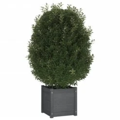 VIDAXL Jardinière -Noël Décorer Magasin d11ea7bad04a435ba0aac3559a0c4989