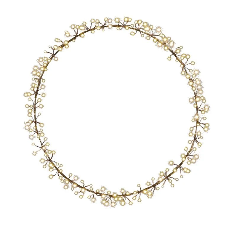 Couronne Lumineuse 1 Couronne Lumineuse