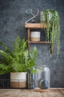 Pot De Fleurs Lago -Noël Décorer Magasin d46b8af5d67f493fb9f9d922aee1f95d