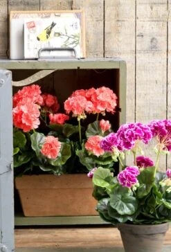 Plante Artificielle Geranien 26 Plante Artificielle Geranien -Noël Décorer Magasin d5376b07d2bd445cbb7bd6bfc332e789