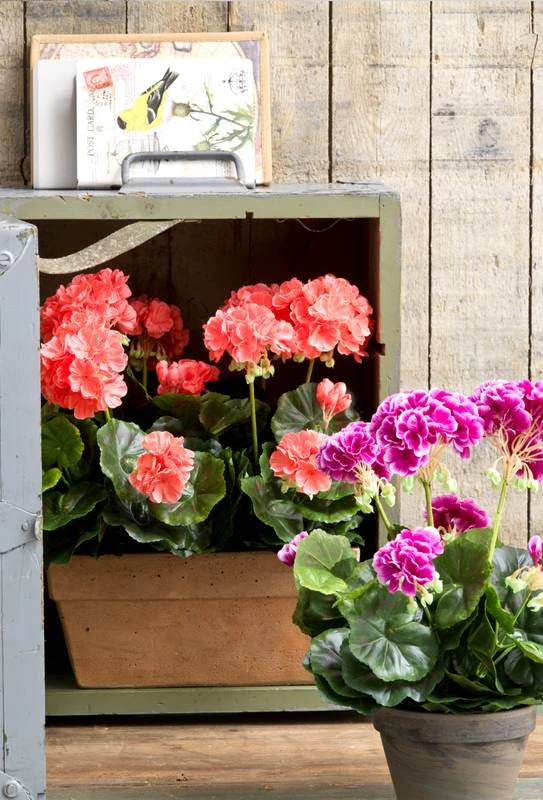 Plante Artificielle Geranien 13 Plante Artificielle Geranien – Image 13