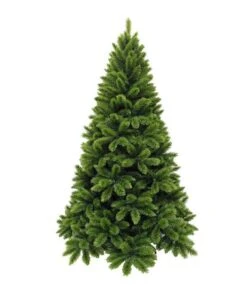 Sapin De Noël Tsuga