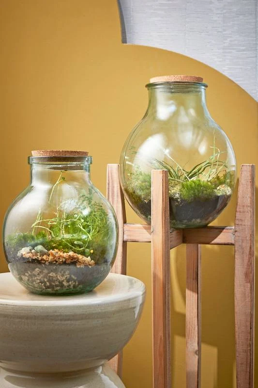 Vase Olly 4 Vase Olly – Image 4